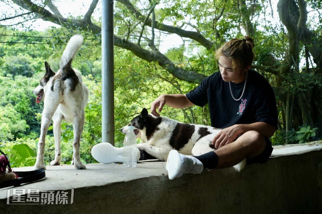 劉先生順道照料校園內幾隻狗，「在這裡住的五年，（狗隻）都是我養的。」