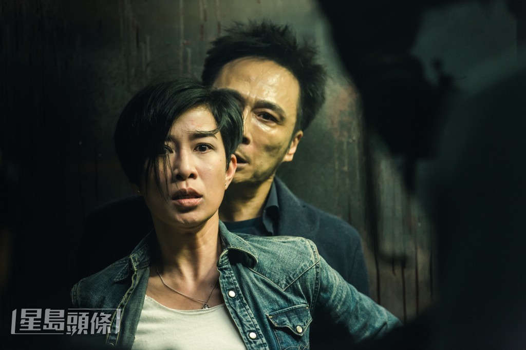 《使徒行者》是另一套由剧集变成电影的作品,佘诗曼演的钉姐不论电视或电影都有份参演。 《使徒行者》是另一套由剧集变成电影的作品,佘诗曼演的钉姐不论电视或电影都有份参演。