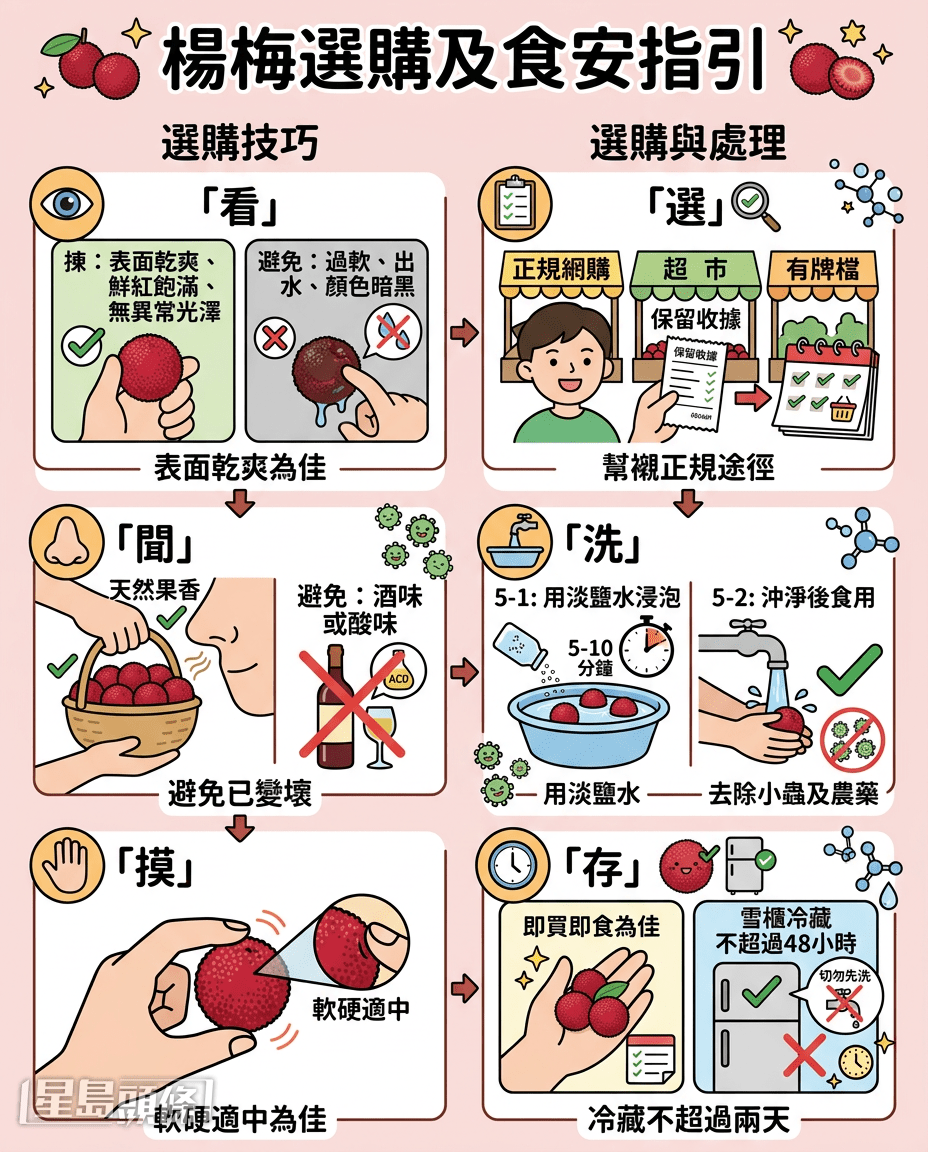 楊梅選購及食安指引 楊梅選購及食安指引