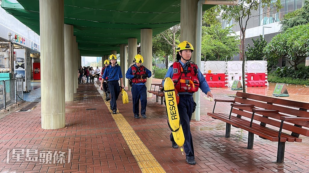 消防到場將死者救上岸。林思明攝 消防到場將死者救上岸。林思明攝