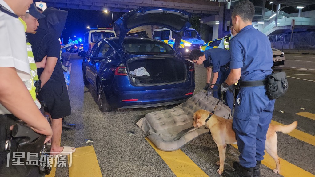 緝毒犬奉召到場協助。