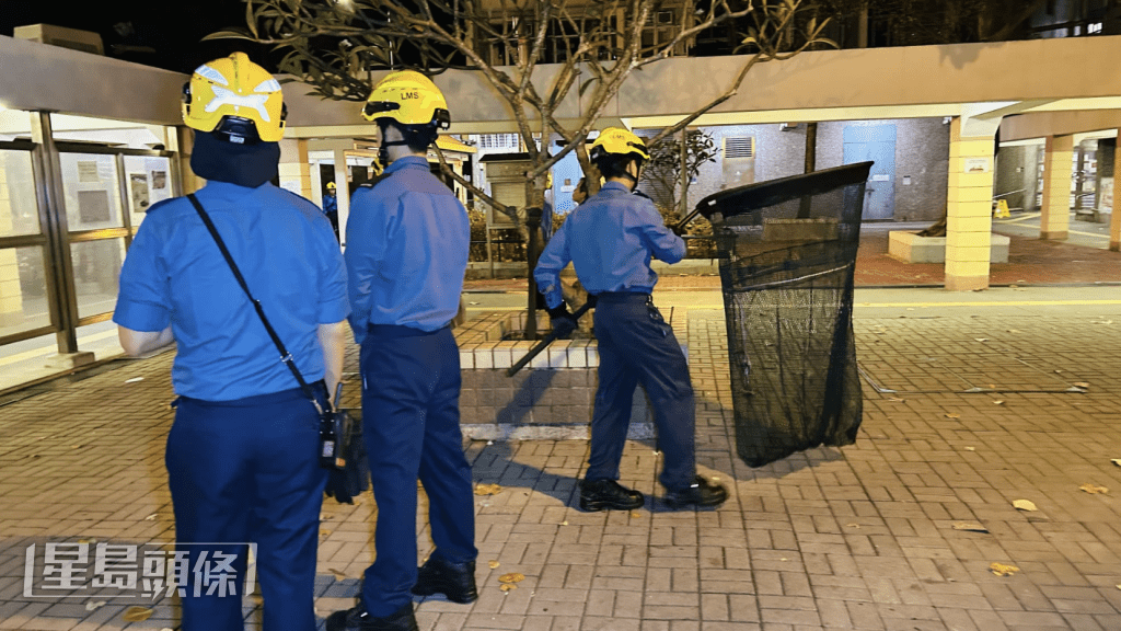 人員一度出動網袋捉馬騮。蔡楚輝攝 人員一度出動網袋捉馬騮。蔡楚輝攝