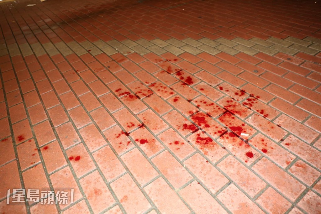 大廈後樓梯、後巷延伸至對開行人路一帶，均留下一條「血路」。黎志偉攝