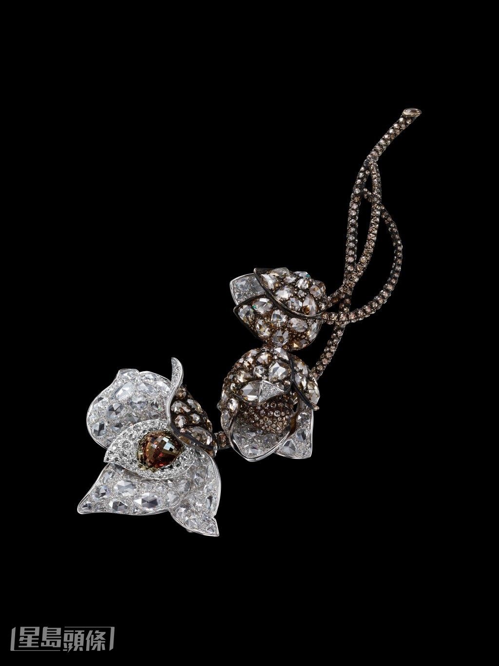Carnet以精湛工藝將木玫瑰的美態,活現在Wondorous Diamond Woodrose胸針上。 Carnet以精湛工藝將木玫瑰的美態,活現在Wondorous Diamond Woodrose胸針上。