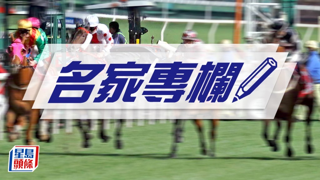 由有馬紀念賽反而想起，澳門於九十年代有一匹馬，中文馬名是「有隻馬」，也有一匹同主馬「邊隻馬」。