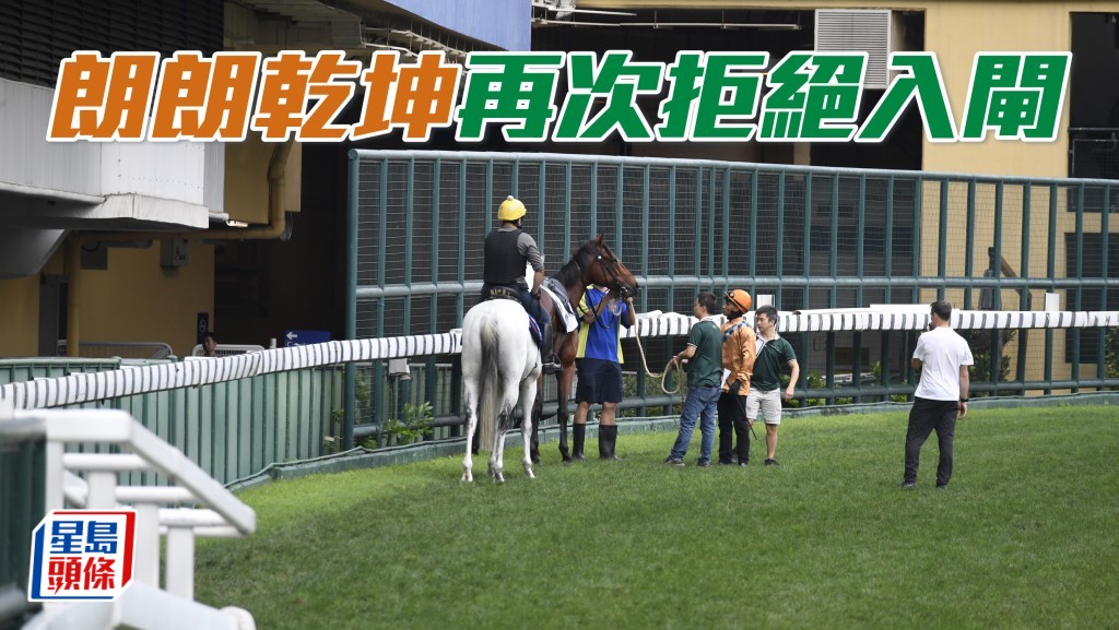 「朗朗乾坤」今早出跑道後不願前往閘廂,未能順利試閘。