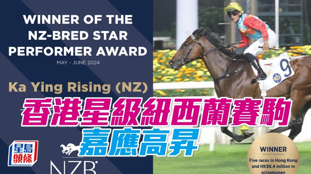  「香港星級紐西蘭賽駒」奬項得主是「嘉應高昇」，馬主為嘉應團體，由練馬師大衞希斯訓練。