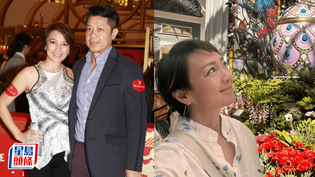 前港姐冠軍楊婉儀罕現身容貌令人嘆息  遊賭城老公再缺席惹揣測  曾抵押一物助夫還債