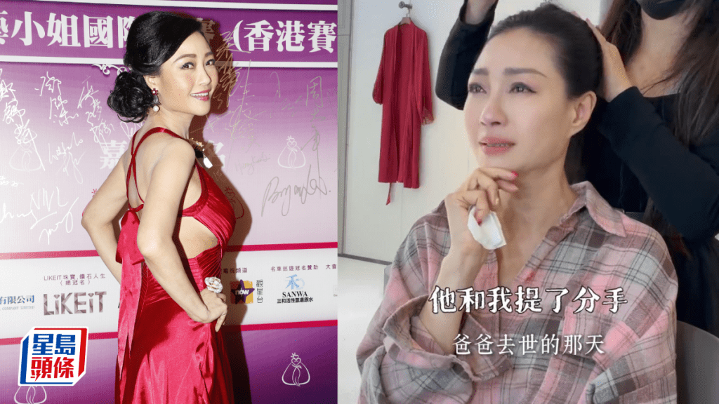 楊玉梅自揭飽受13年情傷  「渣男」選女友喪父當天提發手  曾崩潰抑鬱有輕生念頭