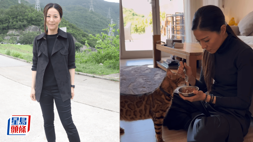 滕麗名意外曝光複式豪宅內籠  巨廳連接超大花園感覺奢華  無敵開揚山景心曠神怡