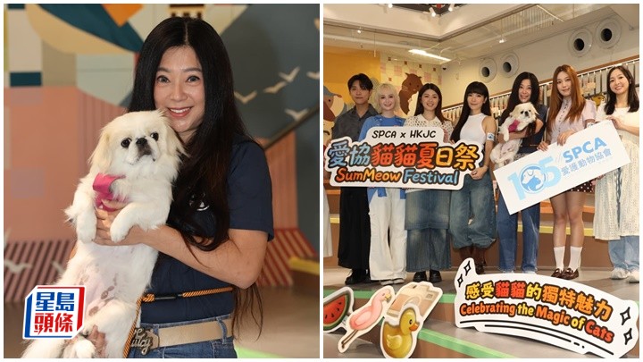傅明憲book定餐廳支持下月開放寵物入內  8月出發非洲探訪大猩猩   挑戰原始森林密切監察伊波拉疫情