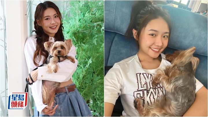 戴祖儀望未來生B 有人幫手湊 自嘲家庭地位不及愛犬丨獨家