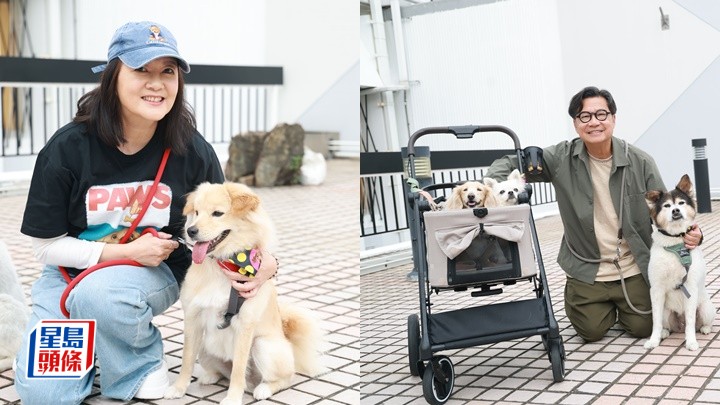 劉倩怡鄭子誠甘為愛犬勞心勞力  設基金做節目力保動物權益｜名人雜誌