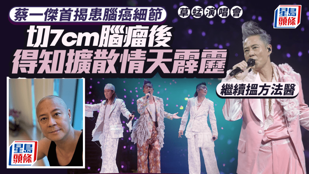 草蜢演唱會丨蔡一傑首揭患腦癌細節  切7cm腦瘤後得知擴散情天霹靂：繼續搵方法醫