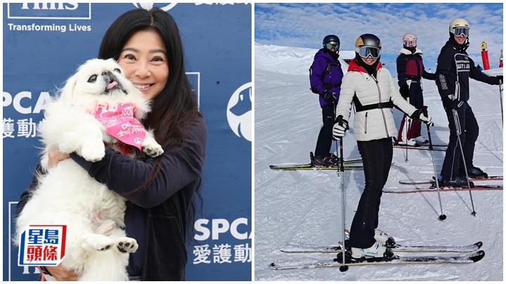 傅明憲帶同4歲愛犬參與慈善行   新年到法國滑雪為活動提前回港   早有教練牌但甚少收生教學