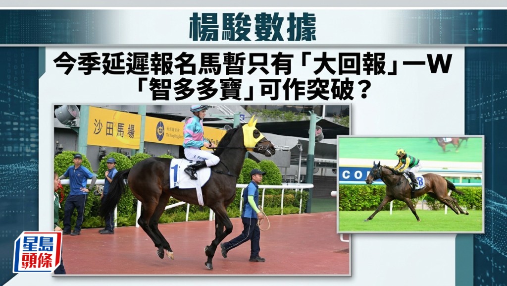楊駿數據｜今季延遲報名馬暫只有「大回報」一W  「智多多寶」可作突破？