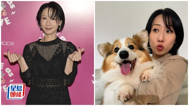 泳兒抱愛犬閃親腰自嘲「年紀大」  拒仿效粉絲「結婚生仔同時進行」: 最緊要啱時機