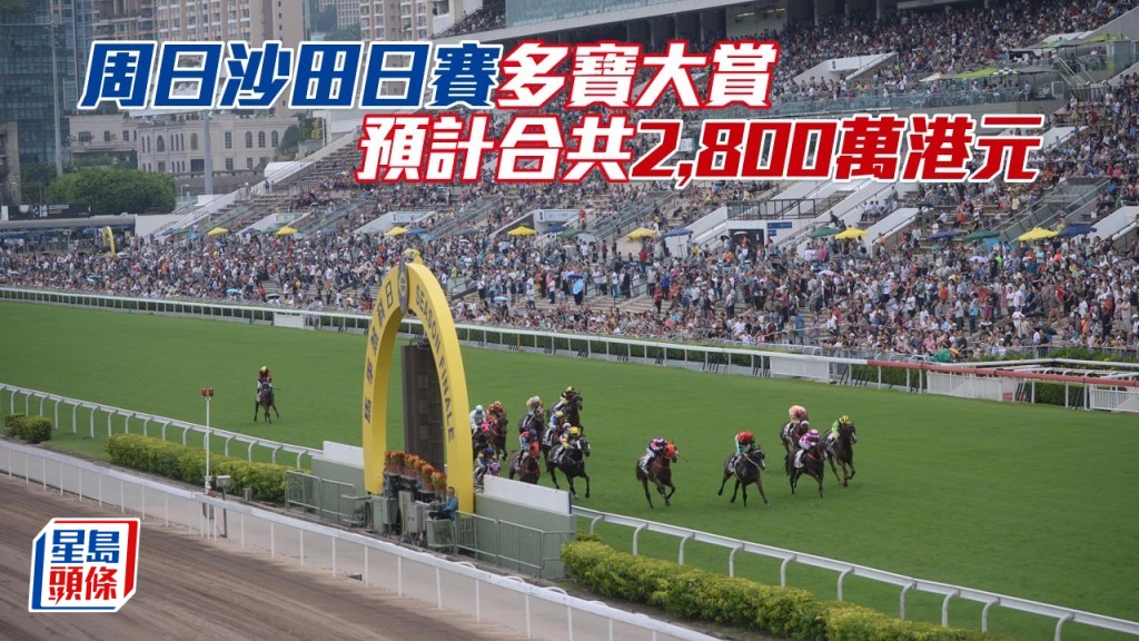 周日沙田日賽多寶大賞預計合共2,800萬港元