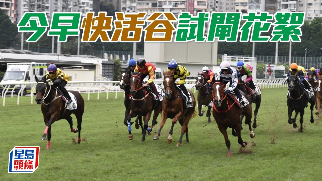 今早快活谷举行七组试闸，场面热闹。