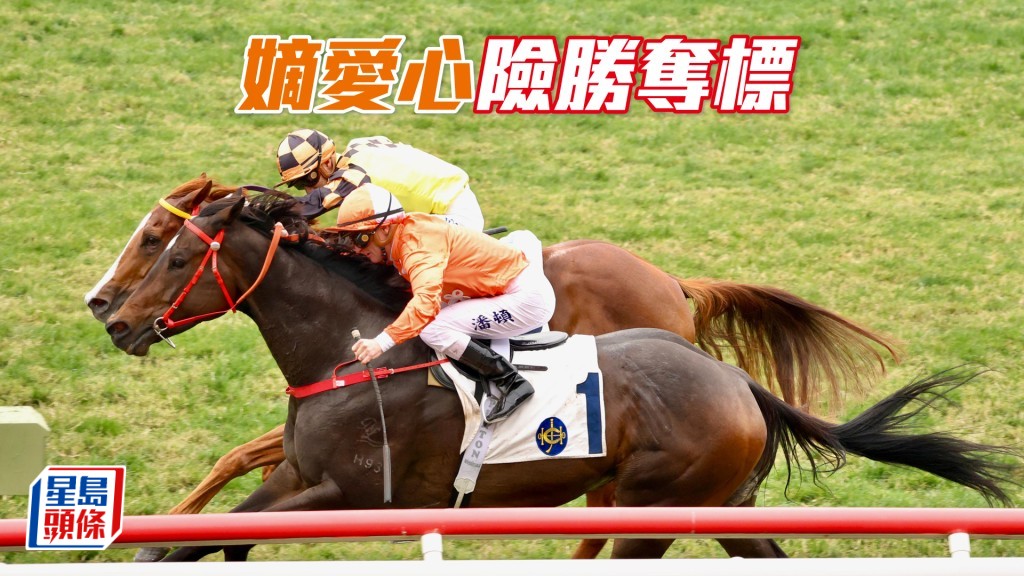 「嫡愛心」險勝奪標