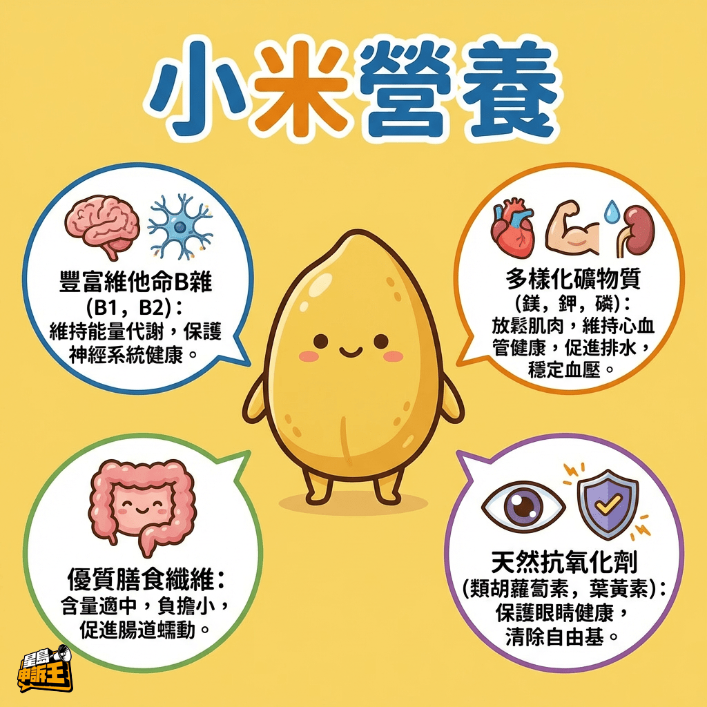  小米營養