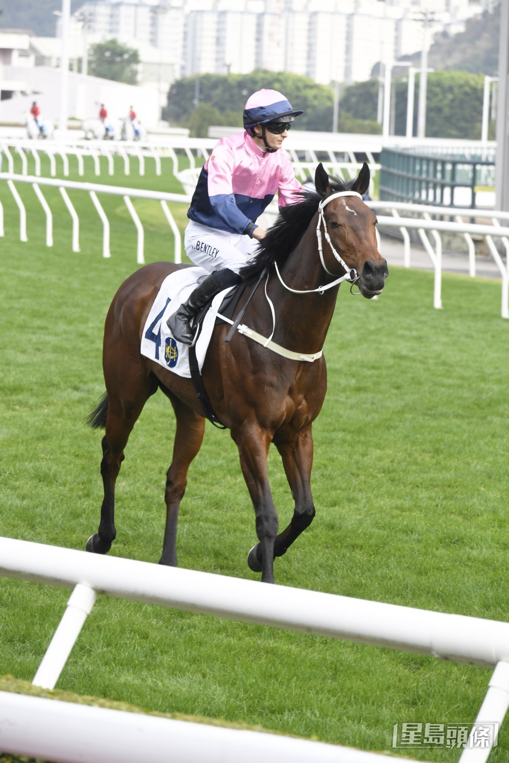 「爆出美丽」上仗由班德礼接手，即在田草千四米后上跑获亚军。