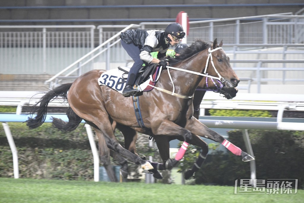 「時時歡聲」威風凜凜充滿霸氣，予人一見傾心之感。