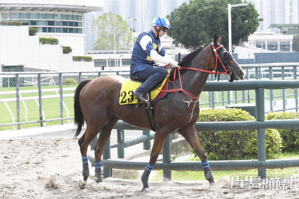 「大利好運」唔急唔搶氣定神閒，依然勇銳無疲態。