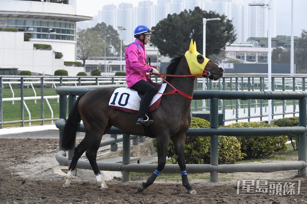 「連連幸運」今仗扳上千二米當然無問題。