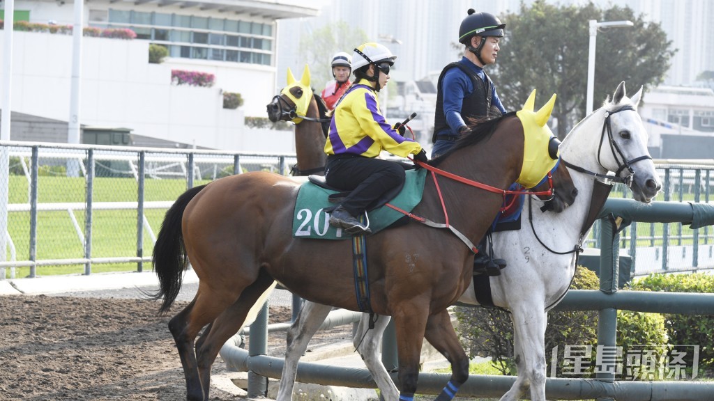 「英雄豪傑」勁度未減半分，老馬有火非同小可。