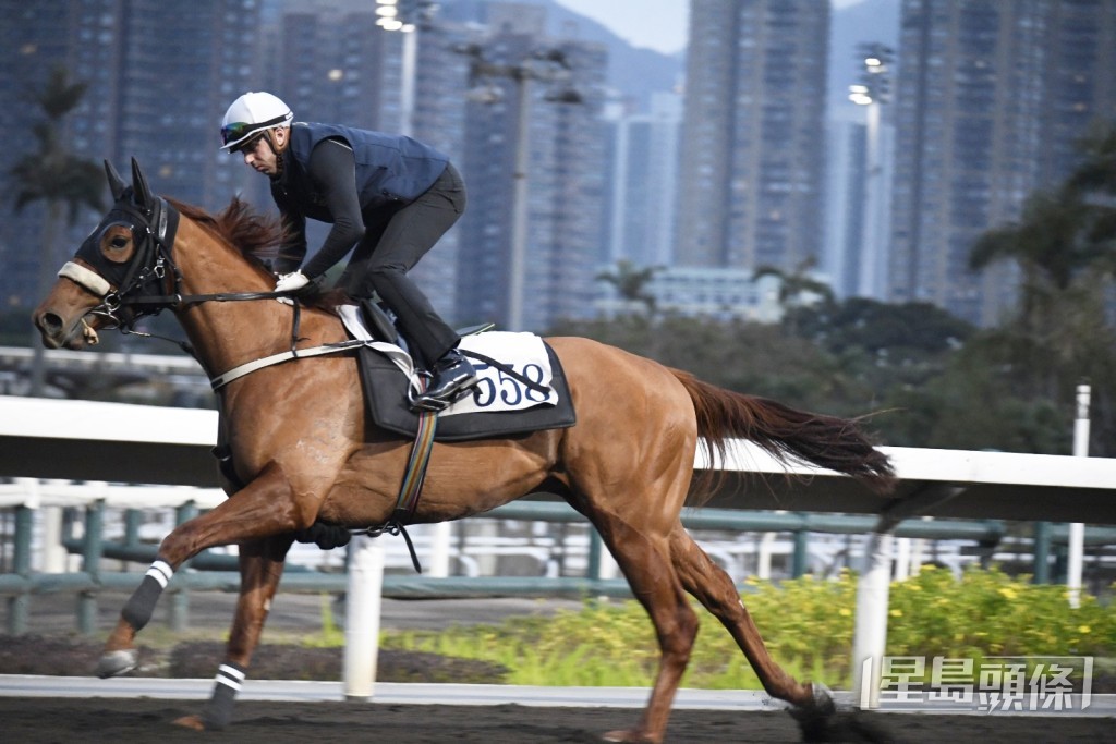 「帶贏來」 「帶贏來」