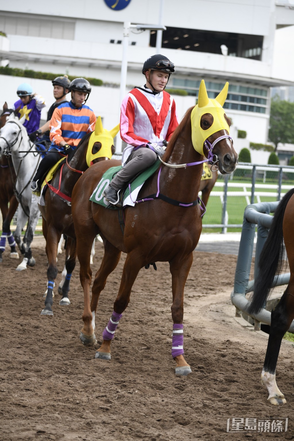 「宏才」今次形勢方面明顯比近仗為佳，在此有力交出頭馬。