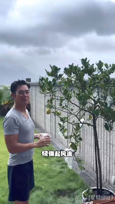人生就係咁，經歷起風浪，自然會強壯。