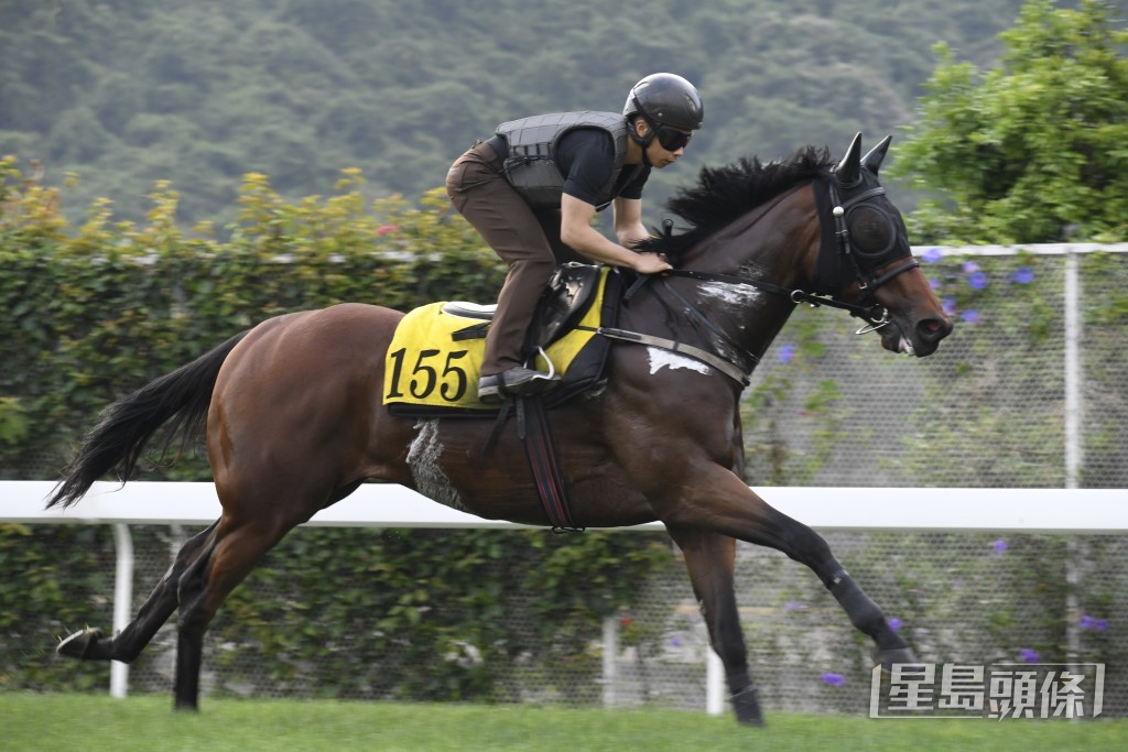 「愛馬善」近日試來火旺神生，狀態持續勇銳。