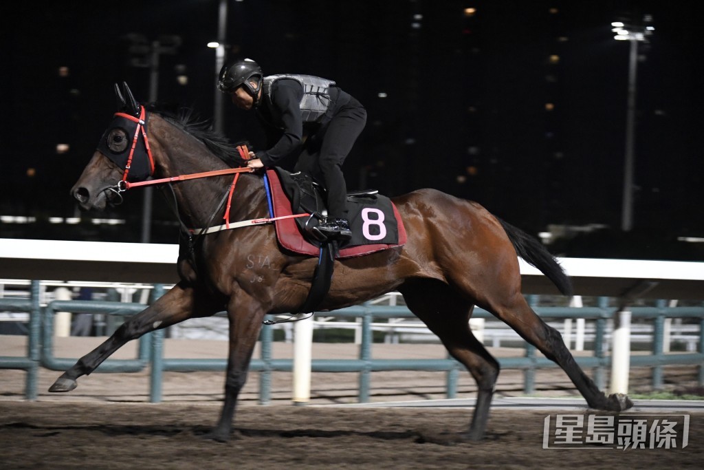 「華麗再勝」神態活躍，勇況依然。