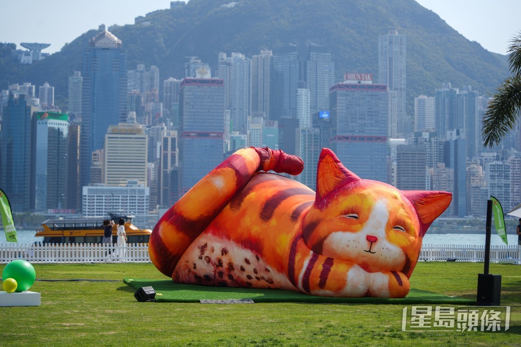 互動藝術裝置《夢遊喵境》首次於亞洲展出。