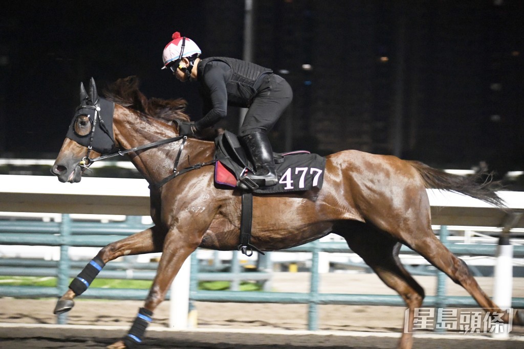 今朝辉哥课后落隧道接「可期而遇」。