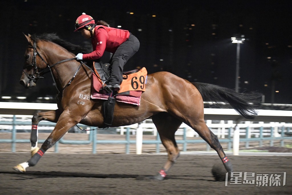 「佳佳友」步挺順暢又有彈力，火氣有增無減。