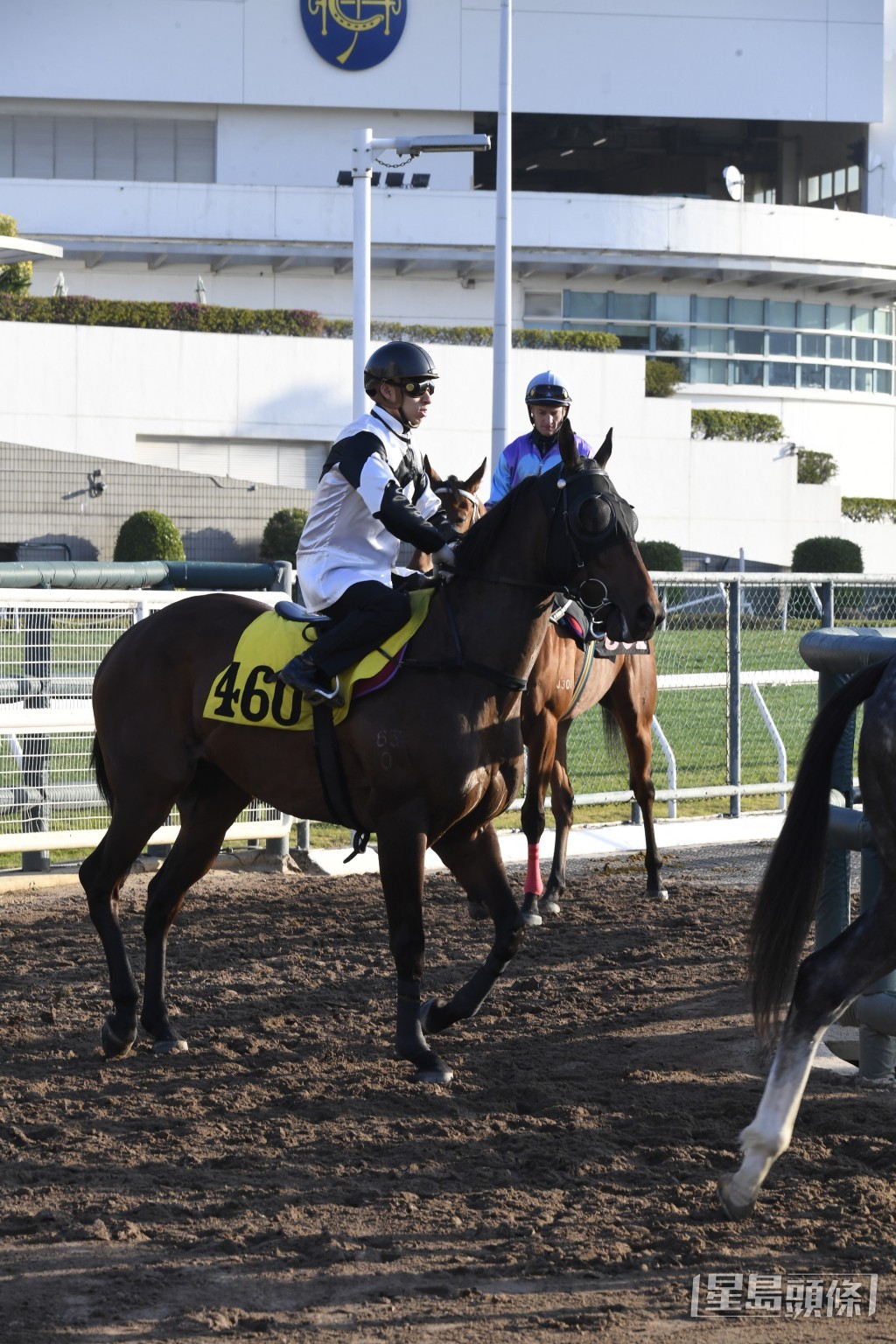「酷霸王」乃今場最佳冷門。