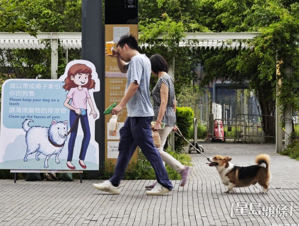 康文署在啟德轄下場地附近擺放多張告示提醒狗主。 康文署在啟德轄下場地附近擺放多張告示提醒狗主。