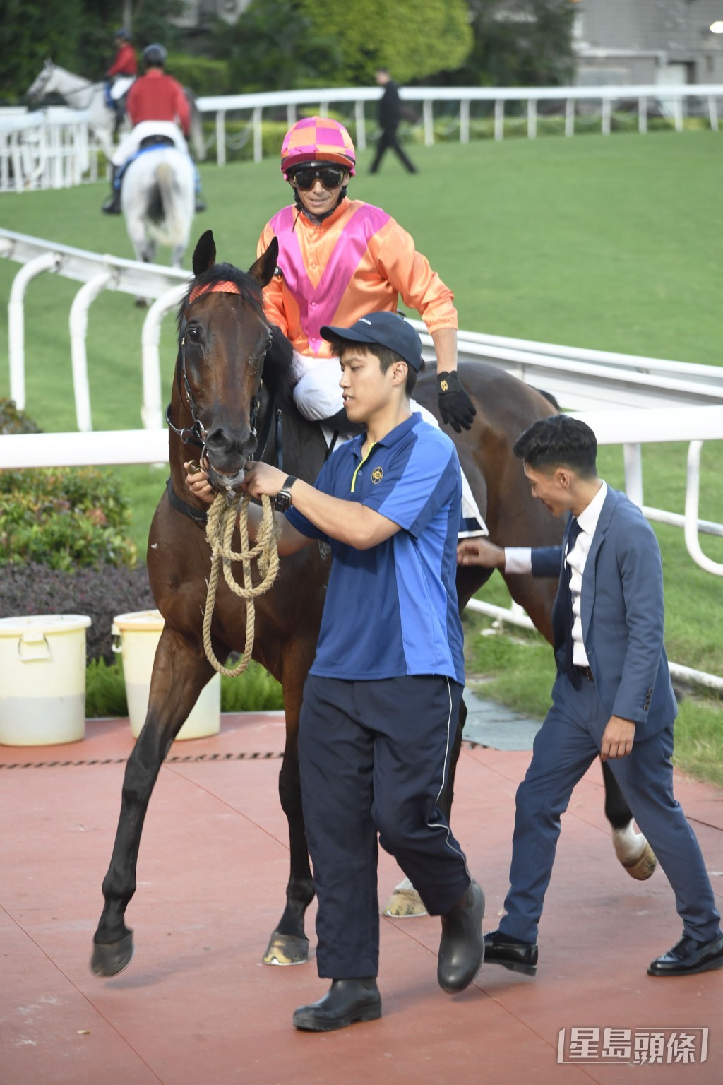 「勁沙塵」將出戰騎師賽第三關第七場三班一哩。