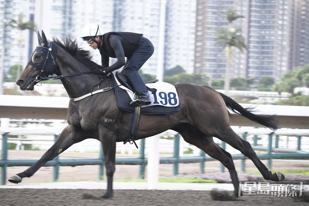 「建测精英」神态活跃，具备争胜水准。