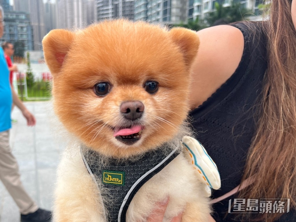 曹露尹攝 曹露尹攝