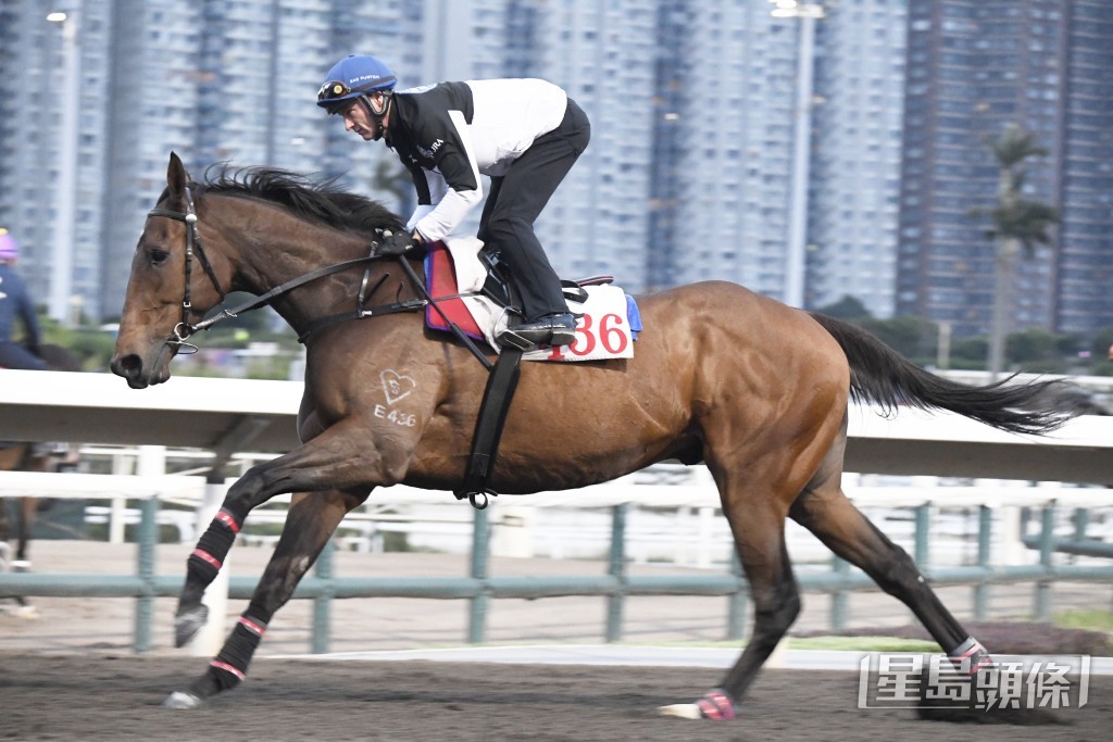 「遨遊氣泡」出試後，潘頓主動搵姚本輝傾談，應是商討今戰策略。