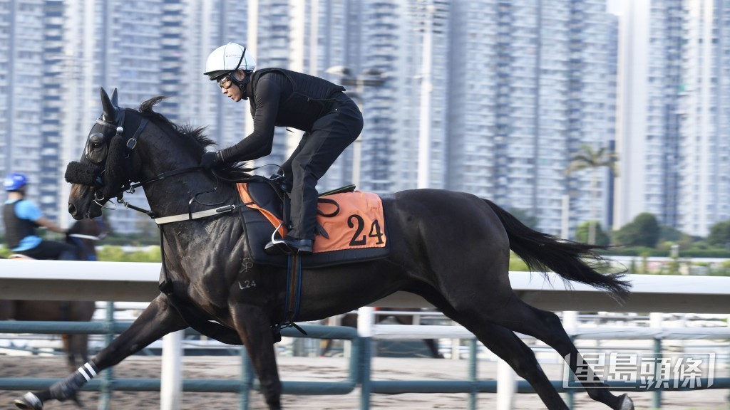 「都靈冠星」跑姿順暢落腳輕巧，馬身愈收愈靚。