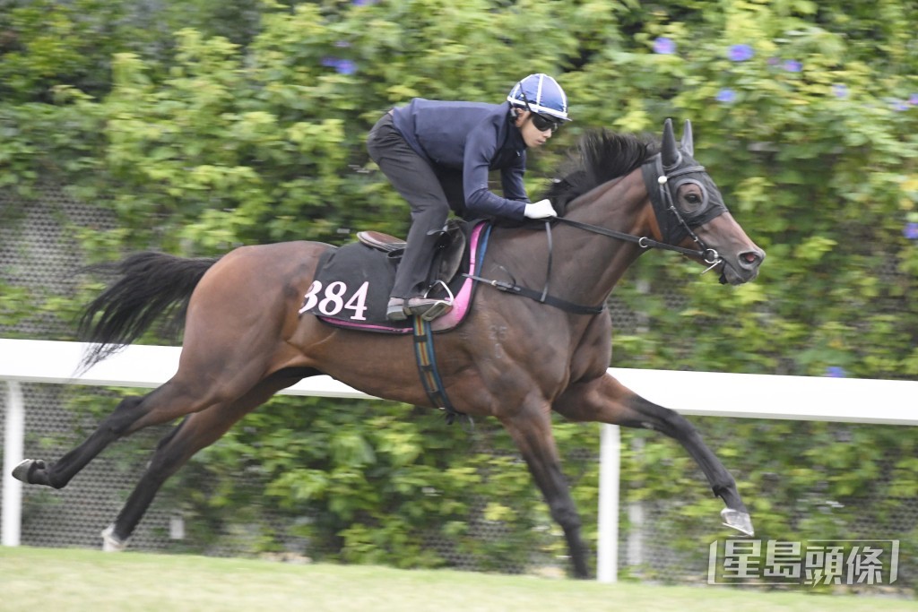 「勁進駒」極之墜手充滿火氣。