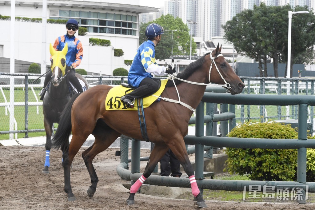 「開心勇駒」神態暢旺力度保持，新勝有進無退。