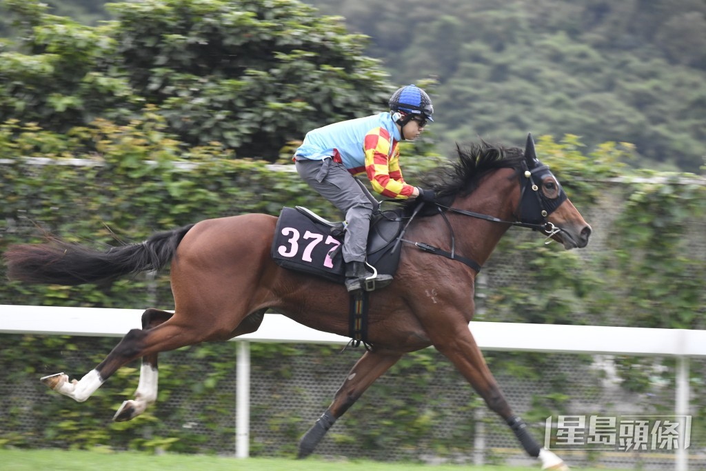 「妙算奇胜」今次初出跑千四米，跟同样是出赛经验不多和初跑此程的对手同场，有力走入前列一席归来。