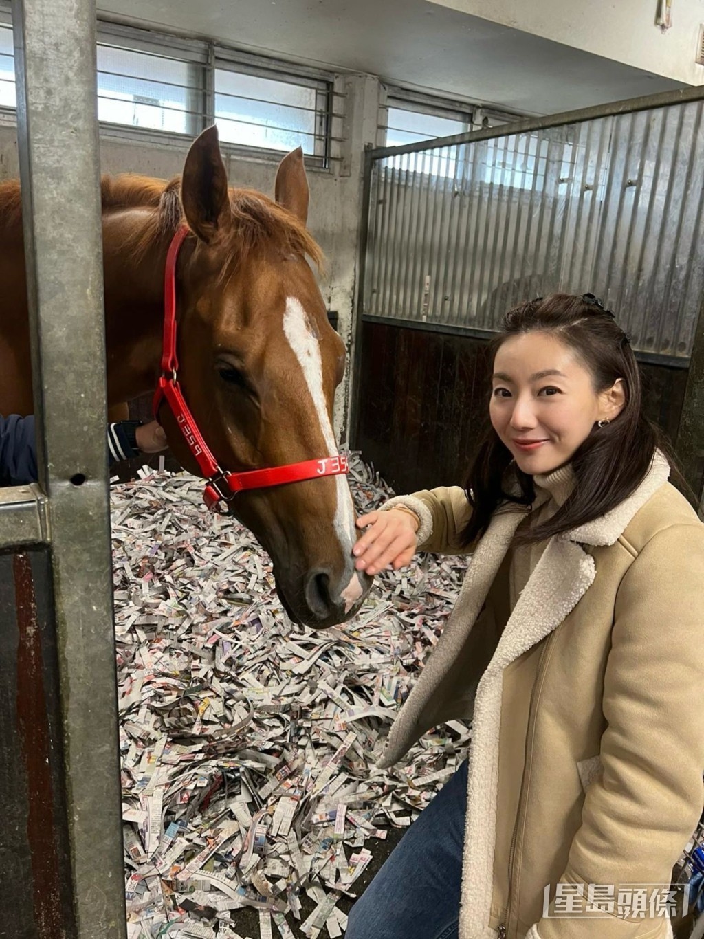周嘉儀的馬匹在一月底從新西蘭運送來香港後，剛通過了馬會檢疫，現養在呂健威馬房。