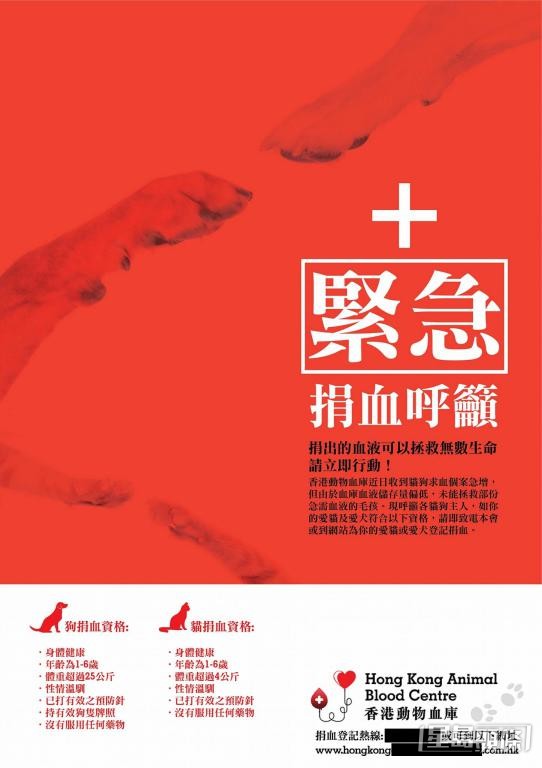 本地曾有寵物義工營運私人寵物血庫。 本地曾有寵物義工營運私人寵物血庫。